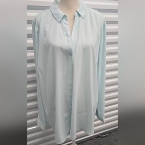 The Limited Soft Blue Button Down Blouse